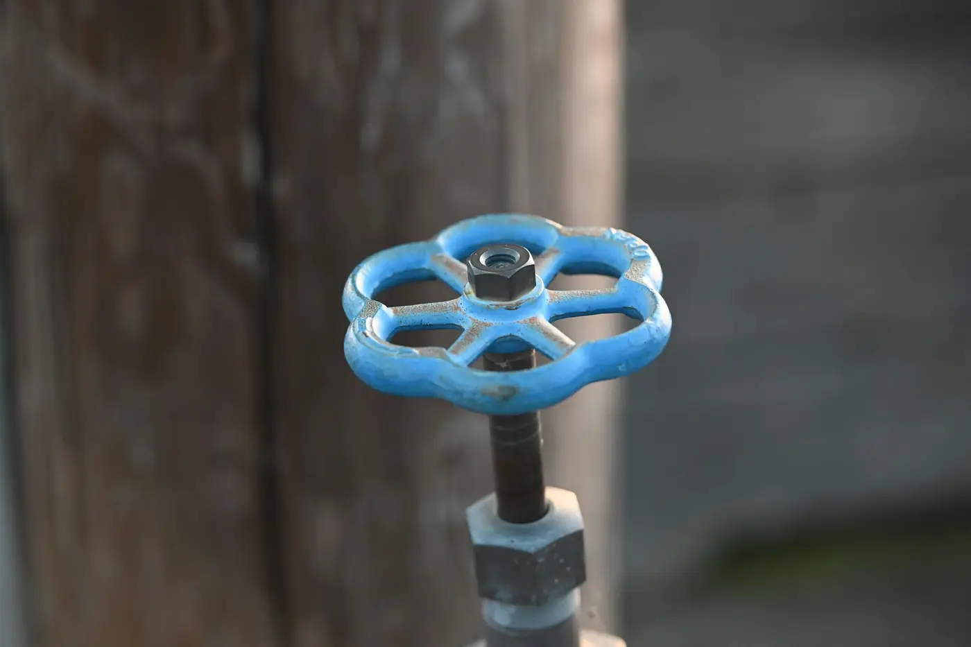 Wheel-style water shut-off valve with a blue handle