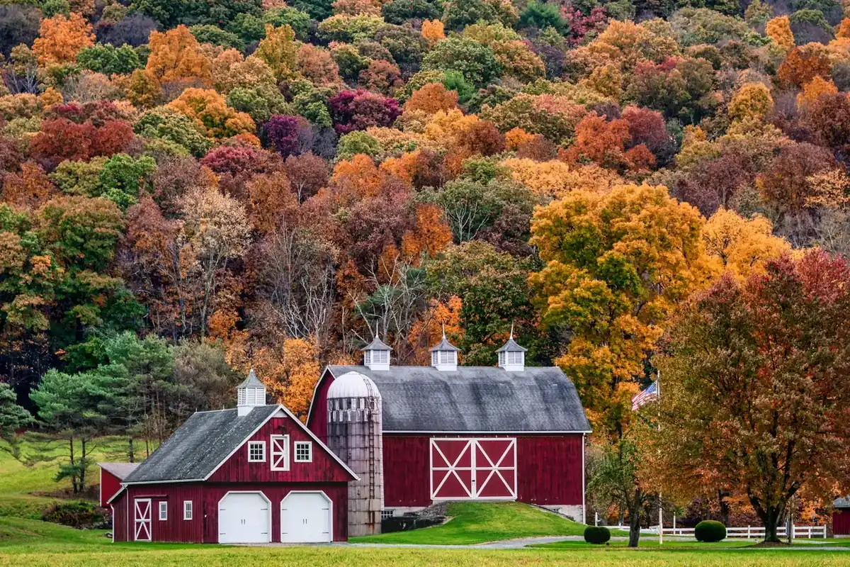 Red barn and farmhouse below a hillside of fall foliage in Pennsylvania