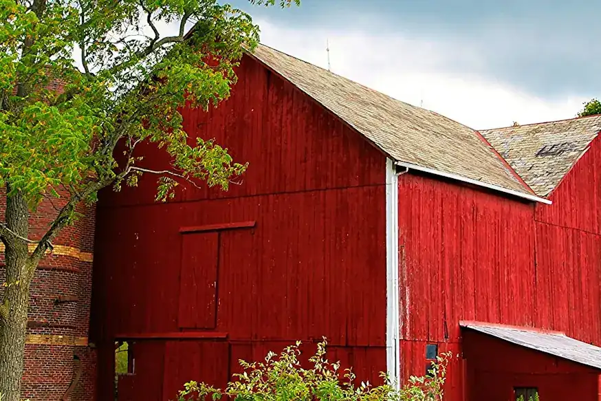Red barn among green trees on a clear day