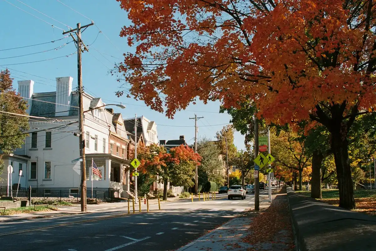 Small-town street with older homes and autumn trees